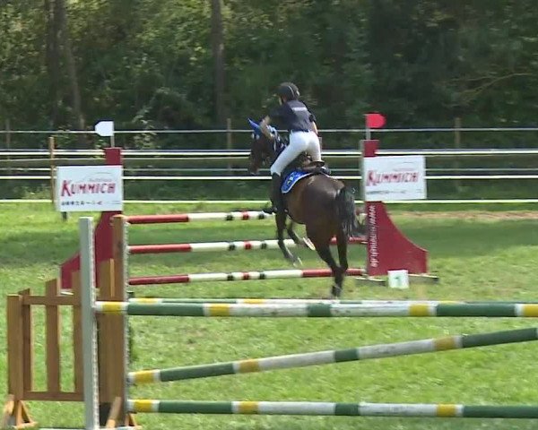 Landesponyturnier Ansbach 2019