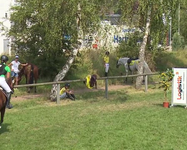 Landesponyturnier Ansbach 2019