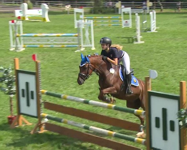 Landesponyturnier Ansbach 2019