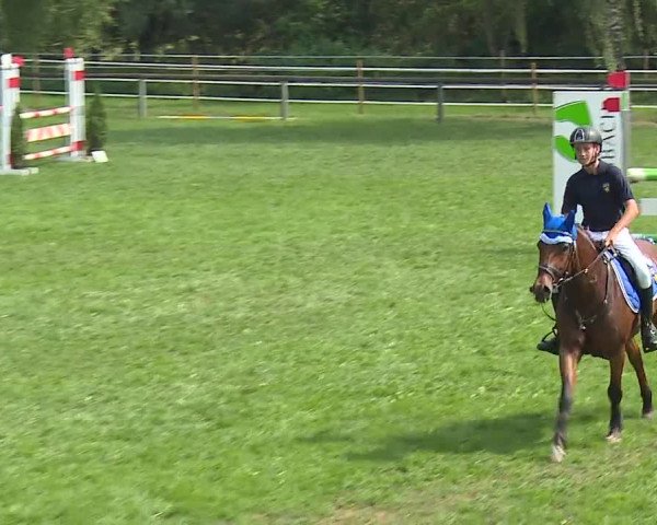 Landesponyturnier Ansbach 2019