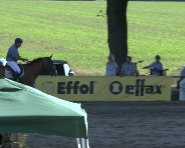 Reitturnier Recklinghausen 2019