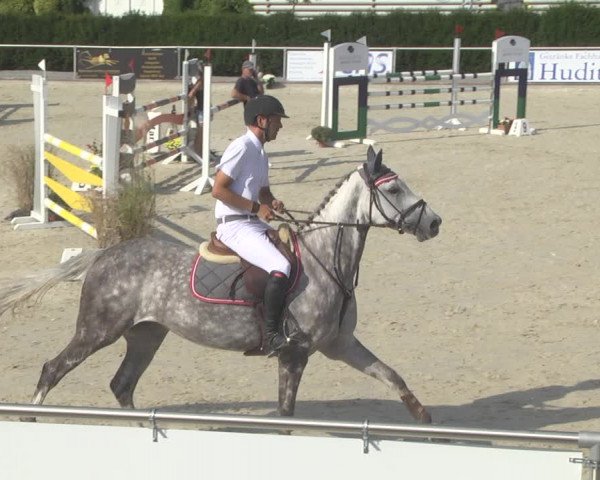 Reitturnier Durmersheim-Hardt 2019