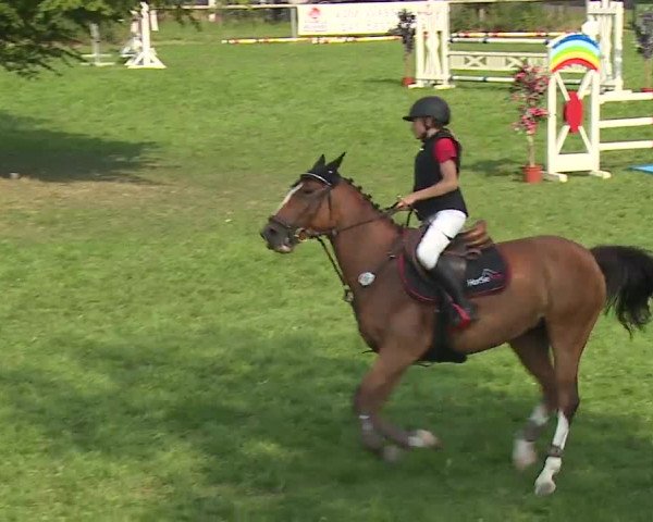 Landesponyturnier Ansbach 2019