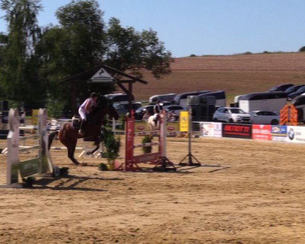 Reitturnier Duderstadt 2019