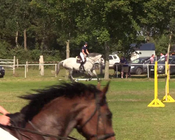 Reitturnier Kellinghusen 2019