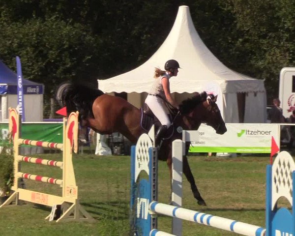 Reitturnier Kellinghusen 2019