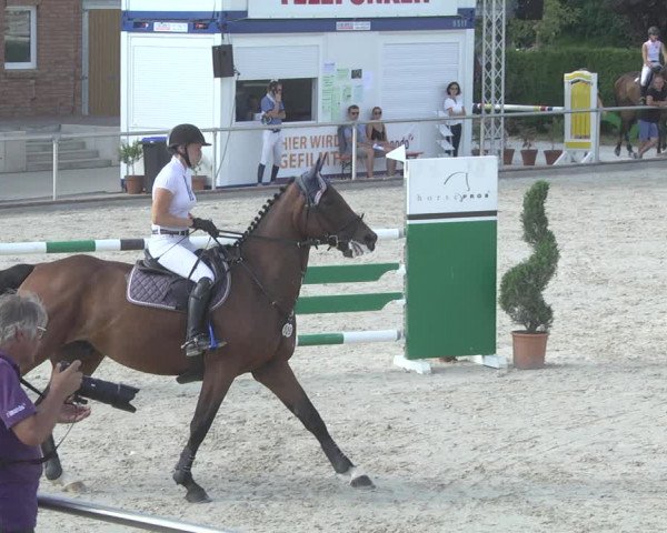 Reitturnier Durmersheim-Hardt 2019