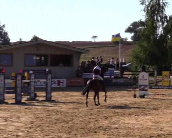 Reitturnier Duderstadt 2019