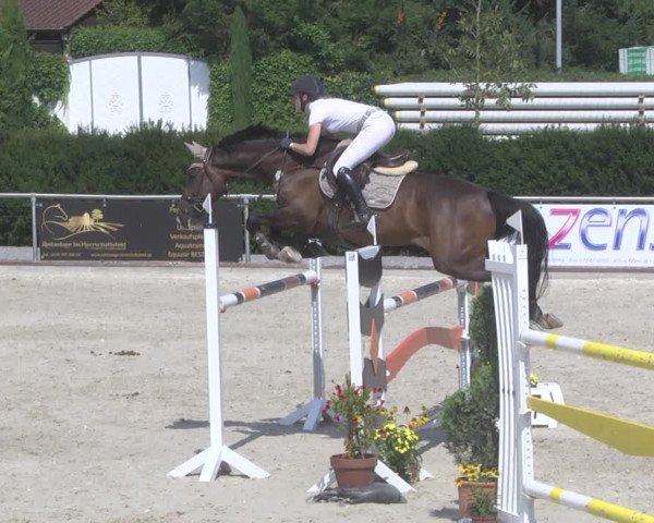 Reitturnier Durmersheim-Hardt 2019