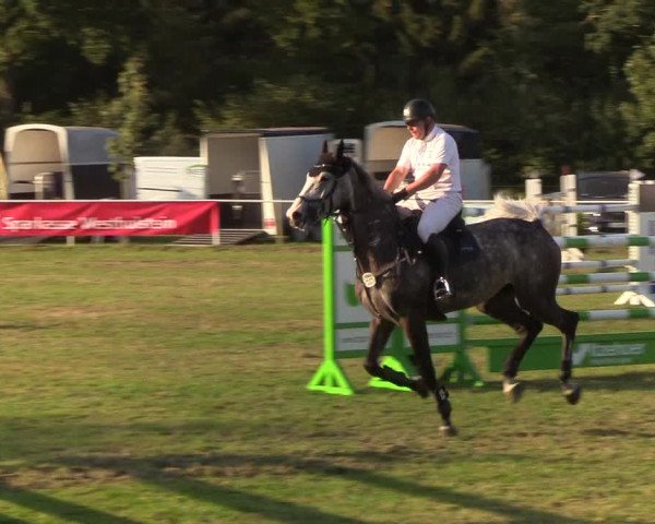 Reitturnier Kellinghusen 2019