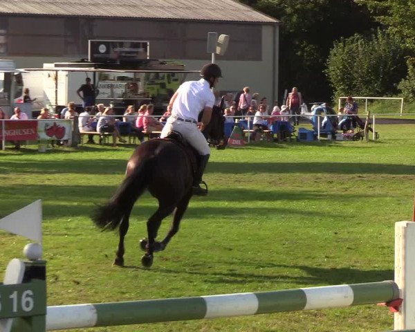 Reitturnier Kellinghusen 2019