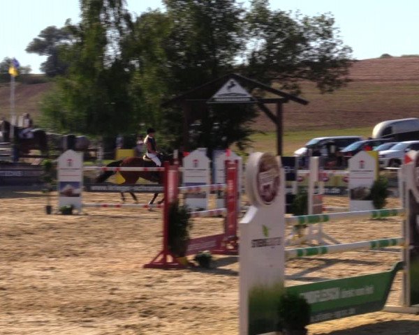 Reitturnier Duderstadt 2019