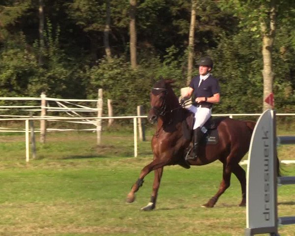 Reitturnier Kellinghusen 2019