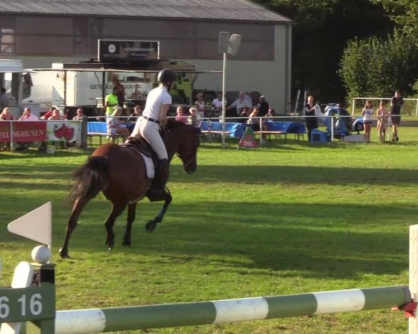 Reitturnier Kellinghusen 2019