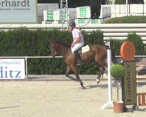 Reitturnier Durmersheim-Hardt 2019