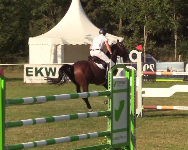 Reitturnier Kellinghusen 2019