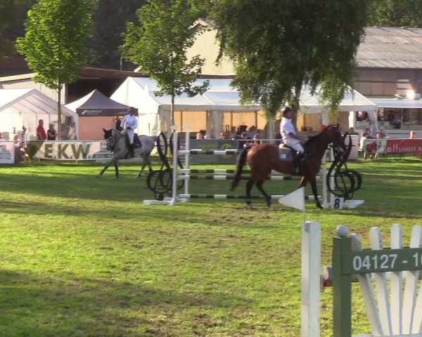Reitturnier Kellinghusen 2019