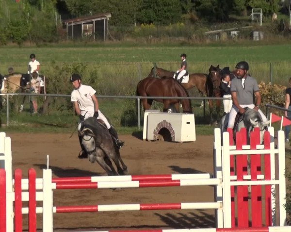 Reitturnier Heidelberg-Kirchheim 2019