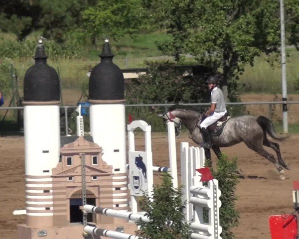 Reitturnier Heidelberg-Kirchheim 2019