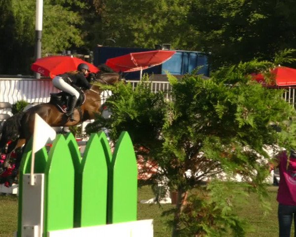 Reitturnier Aschersleben 2019