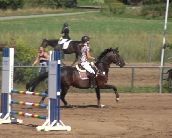 Reitturnier Heidelberg-Kirchheim 2019