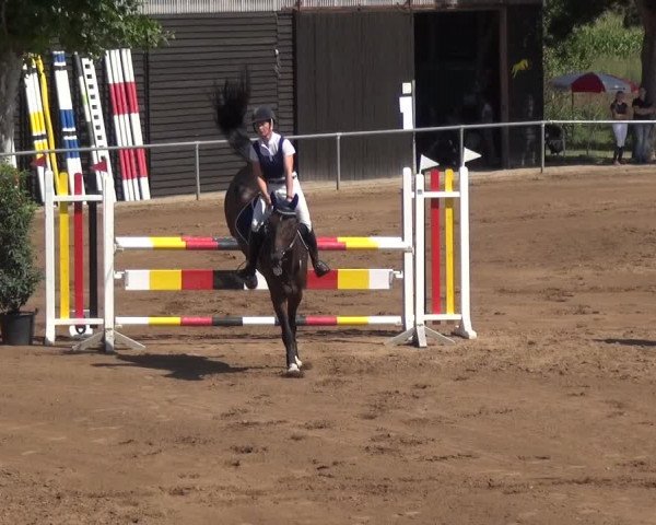 Reitturnier Heidelberg-Kirchheim 2019