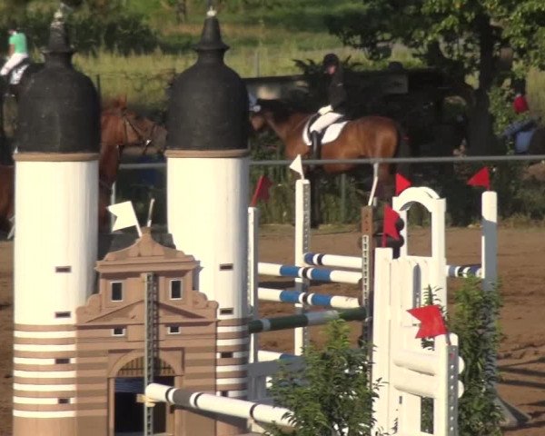 Reitturnier Heidelberg-Kirchheim 2019