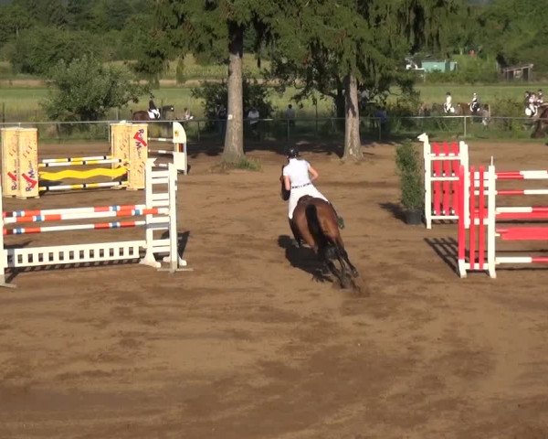 Reitturnier Heidelberg-Kirchheim 2019