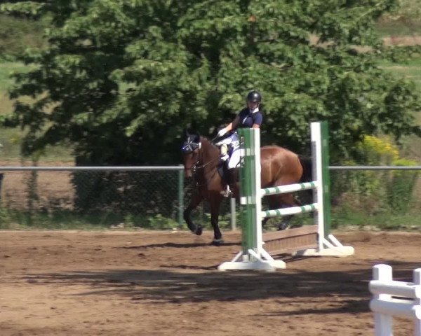 Reitturnier Heidelberg-Kirchheim 2019