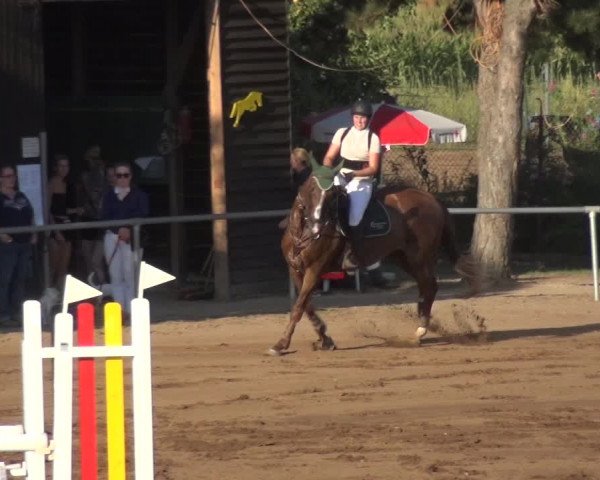 Reitturnier Heidelberg-Kirchheim 2019