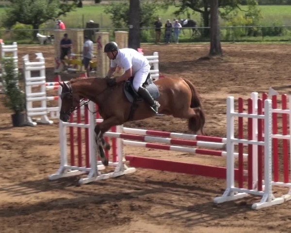 Reitturnier Heidelberg-Kirchheim 2019