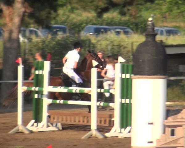 Reitturnier Heidelberg-Kirchheim 2019