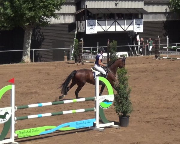 Reitturnier Heidelberg-Kirchheim 2019
