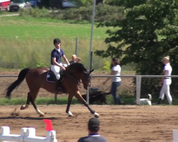 Reitturnier Heidelberg-Kirchheim 2019