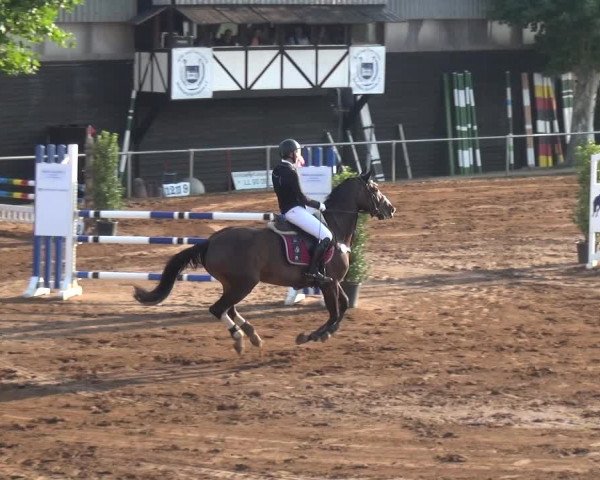 Reitturnier Heidelberg-Kirchheim 2019