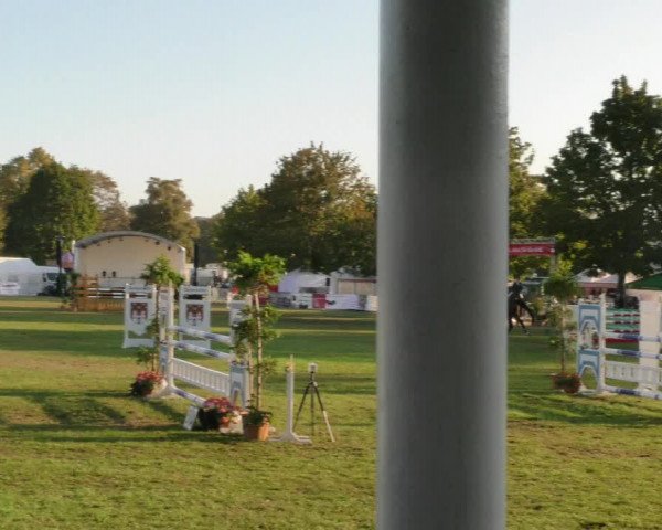 Reitturnier Aschersleben 2019