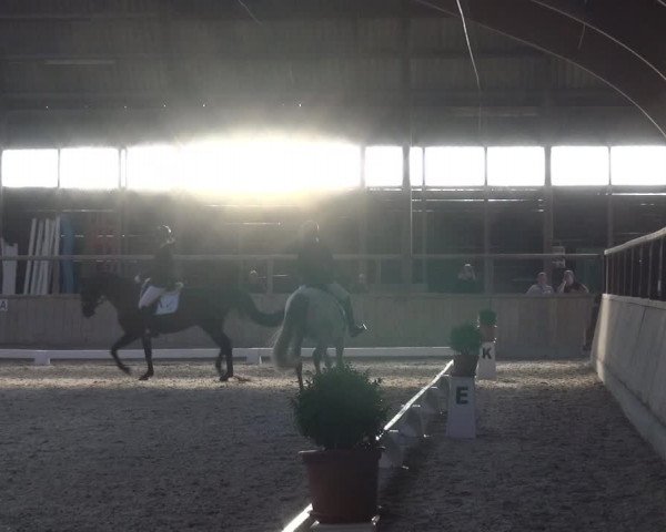 Reitturnier Heidelberg-Kirchheim 2019