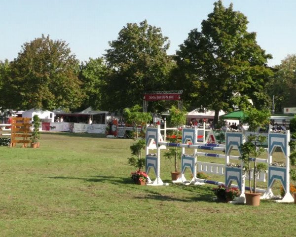 Reitturnier Aschersleben 2019