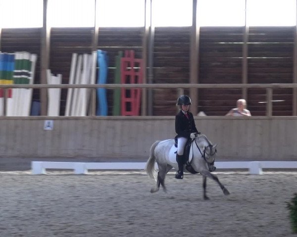 Reitturnier Heidelberg-Kirchheim 2019