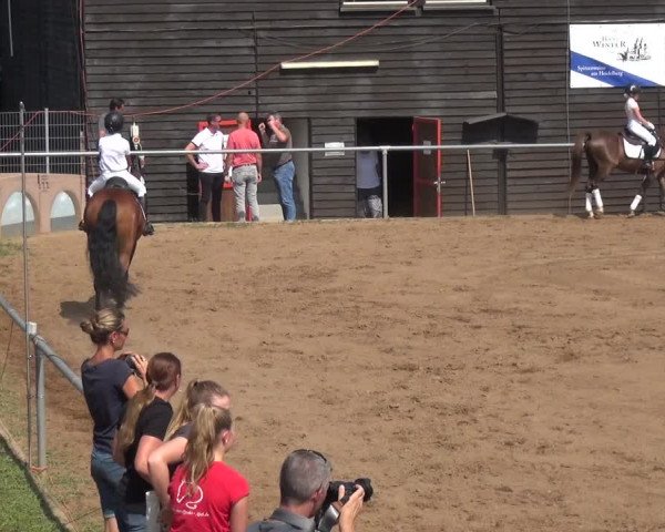 Reitturnier Heidelberg-Kirchheim 2019