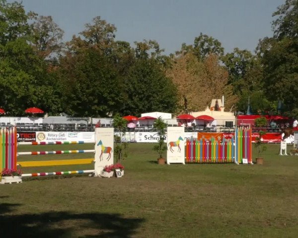 Reitturnier Aschersleben 2019