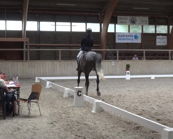 Reitturnier Heidelberg-Kirchheim 2019