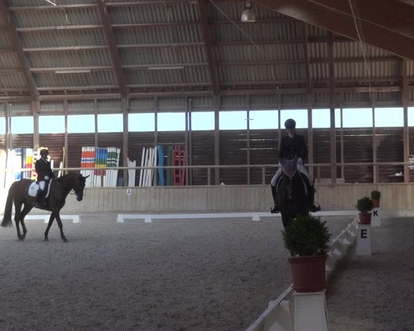 Reitturnier Heidelberg-Kirchheim 2019