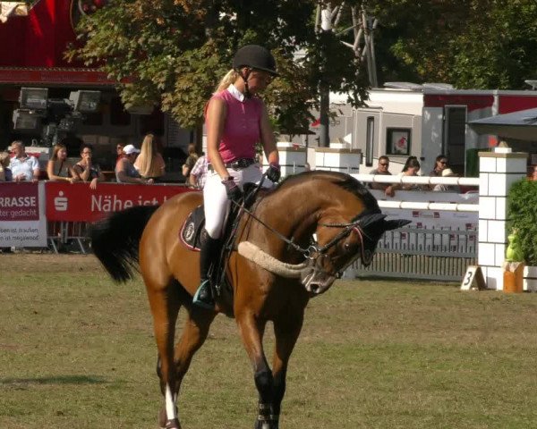 Reitturnier Aschersleben 2019