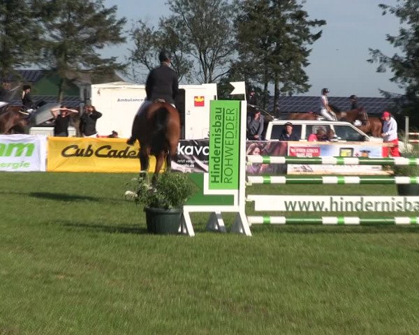 Reitturnier Löwenstedt 2019