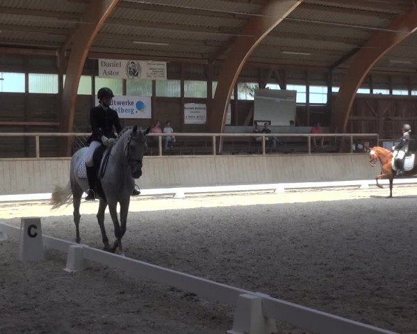 Reitturnier Heidelberg-Kirchheim 2019