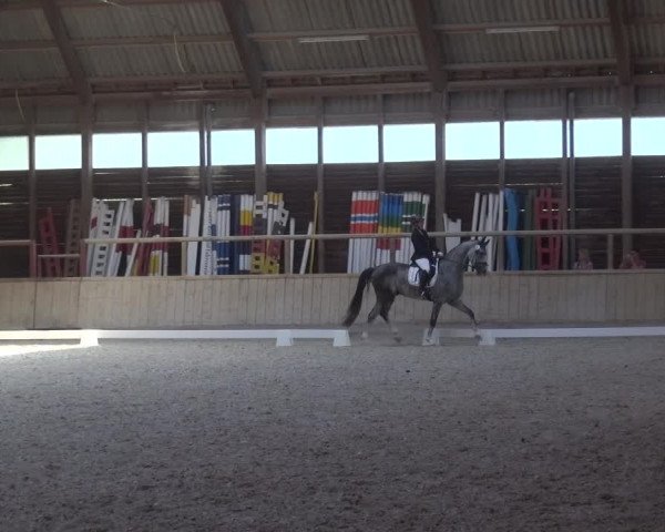 Reitturnier Heidelberg-Kirchheim 2019