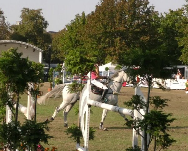 Reitturnier Aschersleben 2019