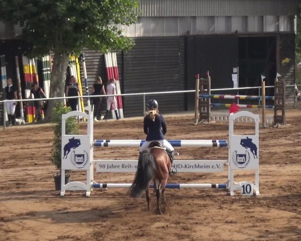 Reitturnier Heidelberg-Kirchheim 2019