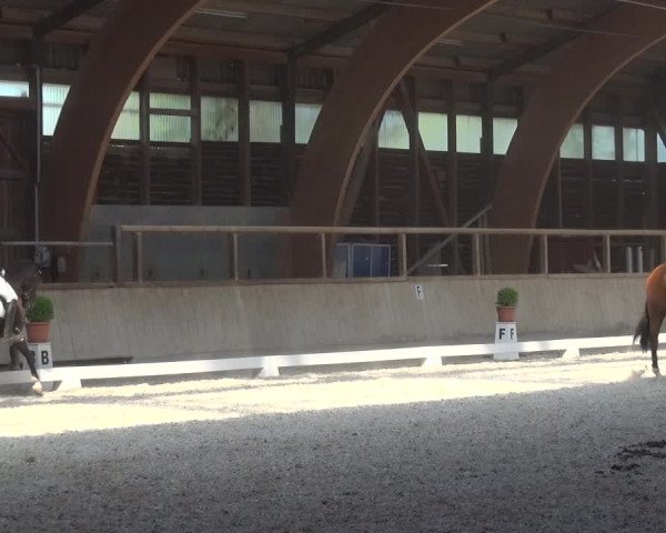Reitturnier Heidelberg-Kirchheim 2019